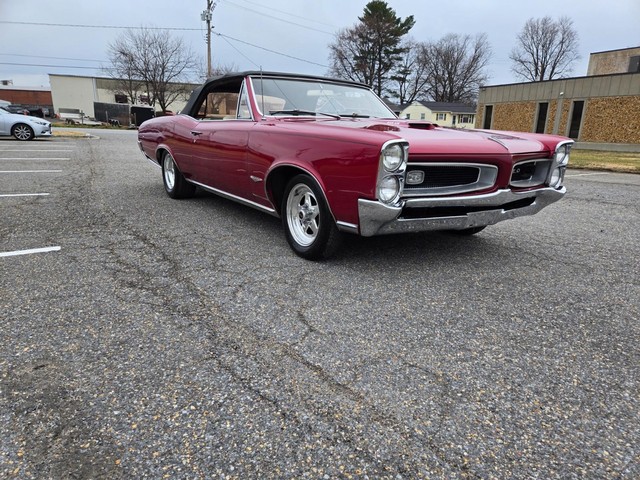 Pontiac GTO Vehicle Image 04
