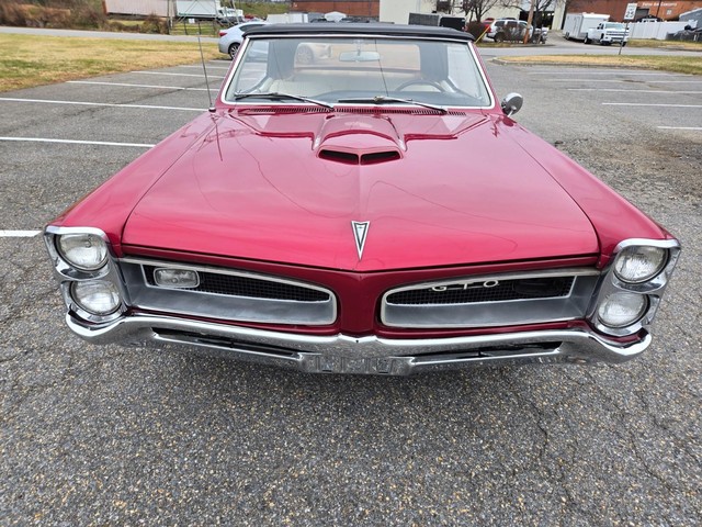 Pontiac GTO Vehicle Image 08