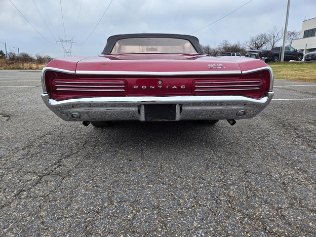 Pontiac GTO Vehicle Image 10