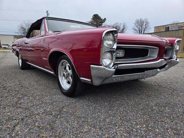 Pontiac GTO Vehicle Image 14