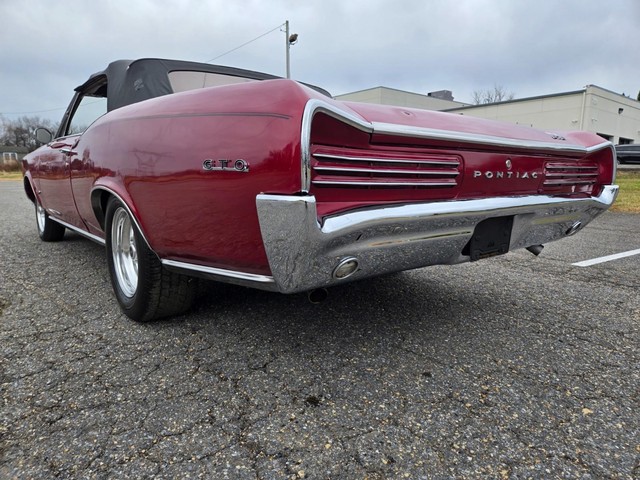 Pontiac GTO Vehicle Image 16