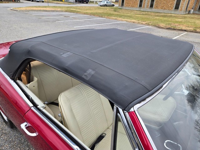 Pontiac GTO Vehicle Image 17