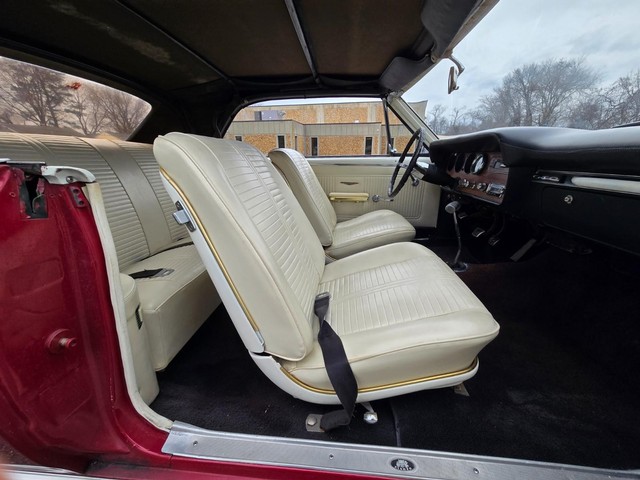 Pontiac GTO Vehicle Image 29
