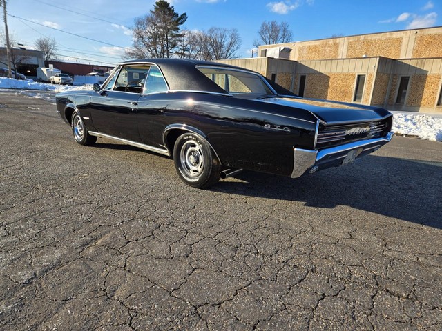 Pontiac GTO Vehicle Image 06