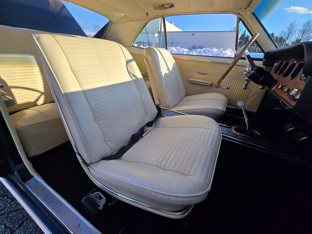 Pontiac GTO Vehicle Image 21