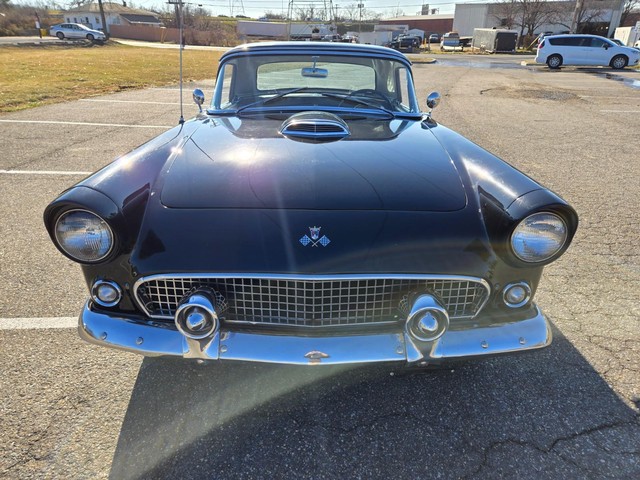 Ford Thunderbird Vehicle Image 07