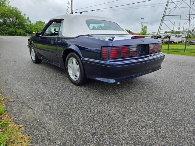 Ford Mustang Vehicle Image 06