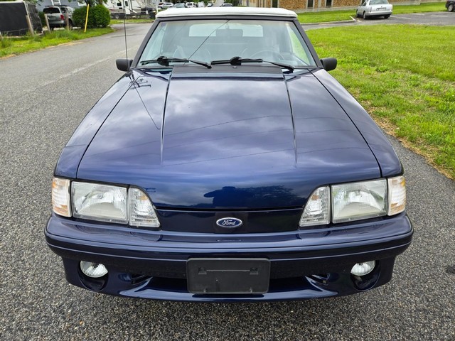 Ford Mustang Vehicle Image 08