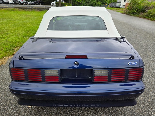 Ford Mustang Vehicle Image 10