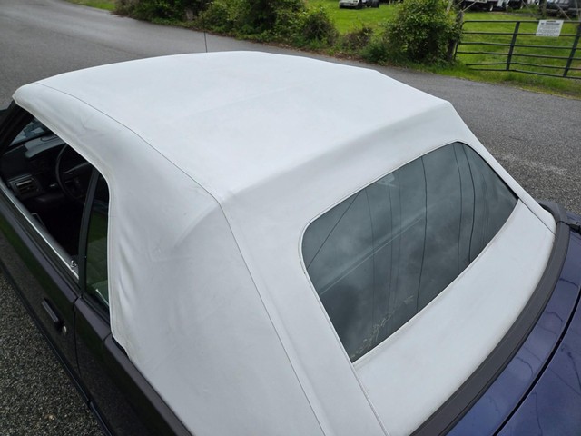 Ford Mustang Vehicle Image 17