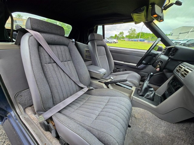 Ford Mustang Vehicle Image 23