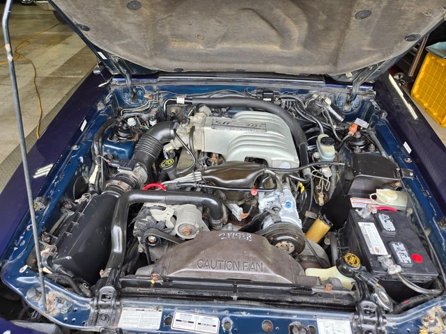 Ford Mustang Vehicle Image 30