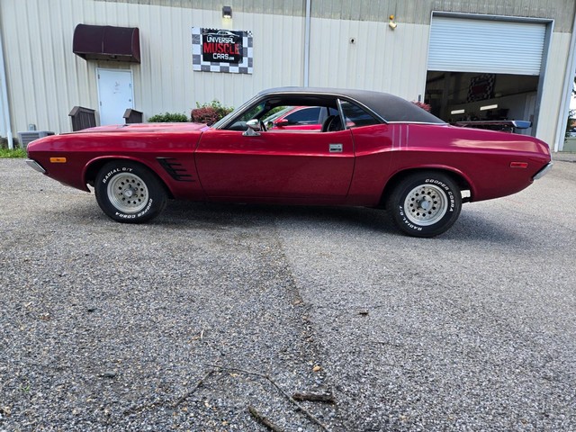 Dodge Challenger Vehicle Image 02