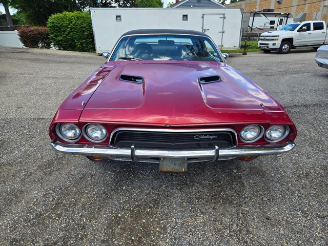 Dodge Challenger Vehicle Image 06
