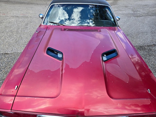 Dodge Challenger Vehicle Image 07
