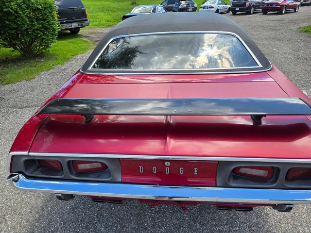 Dodge Challenger Vehicle Image 09