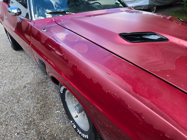 Dodge Challenger Vehicle Image 10