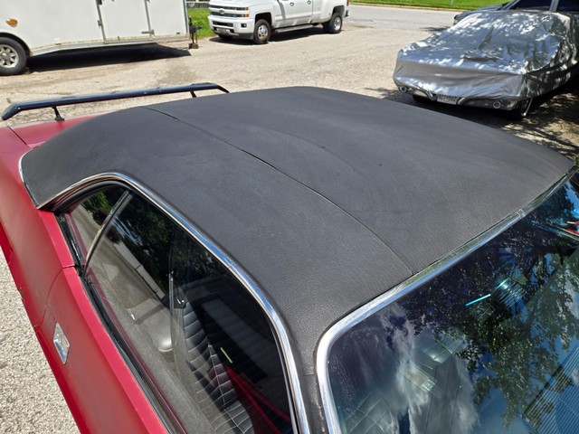 Dodge Challenger Vehicle Image 13