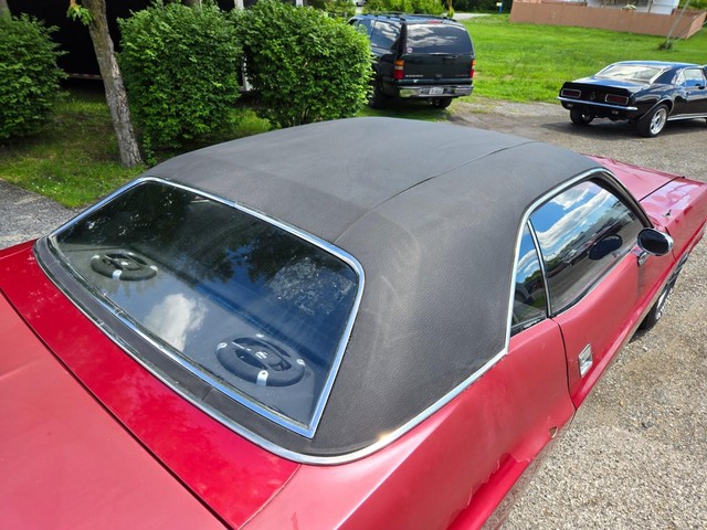 Dodge Challenger Vehicle Image 16