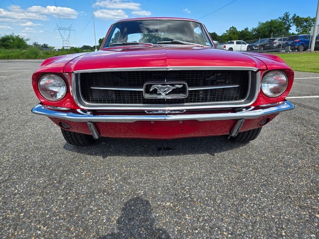 Ford Mustang Vehicle Image 07