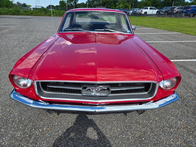 Ford Mustang Vehicle Image 08