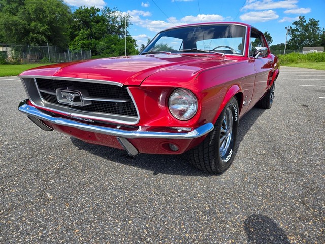 Ford Mustang Vehicle Image 11