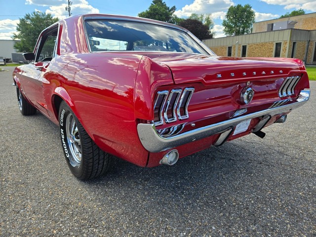 Ford Mustang Vehicle Image 14