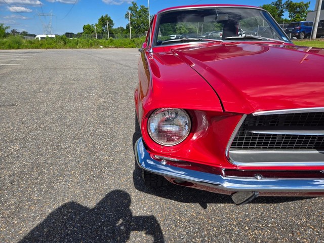 Ford Mustang Vehicle Image 15