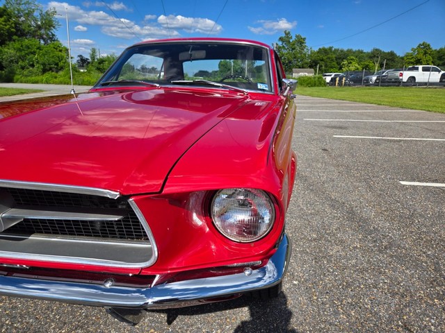Ford Mustang Vehicle Image 16
