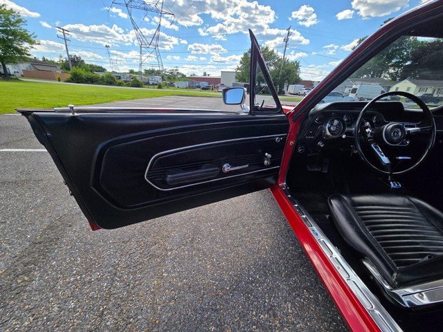 Ford Mustang Vehicle Image 19