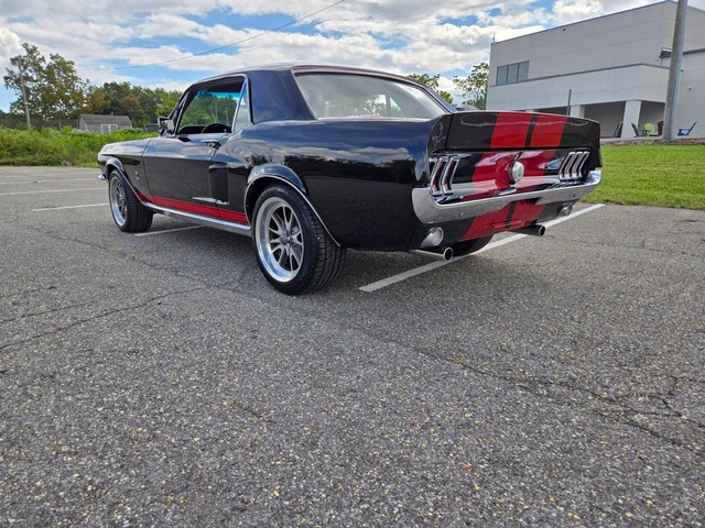 Ford Mustang Vehicle Image 06