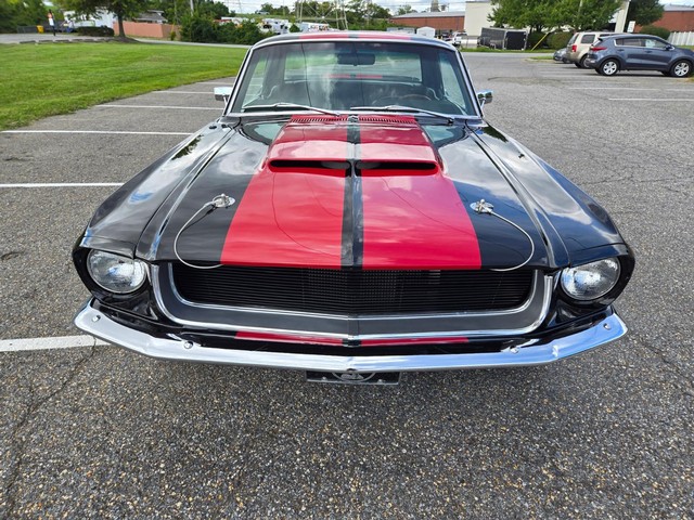 Ford Mustang Vehicle Image 08