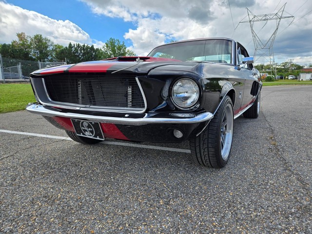 Ford Mustang Vehicle Image 11