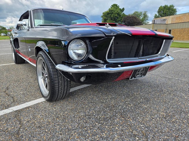 Ford Mustang Vehicle Image 12