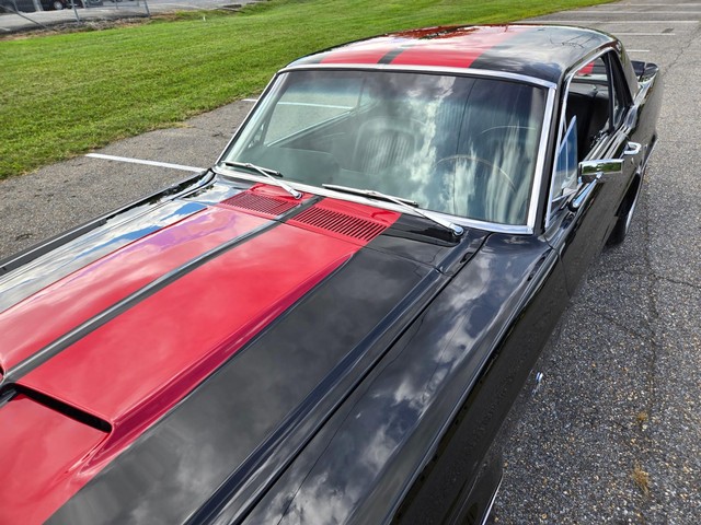 Ford Mustang Vehicle Image 16
