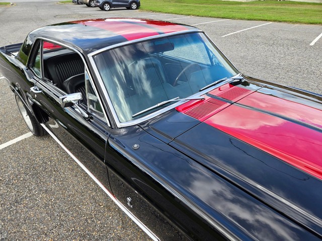Ford Mustang Vehicle Image 17