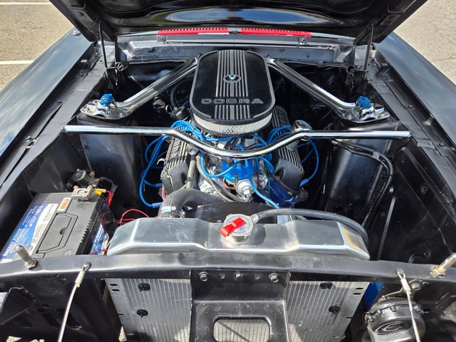 Ford Mustang Vehicle Image 24