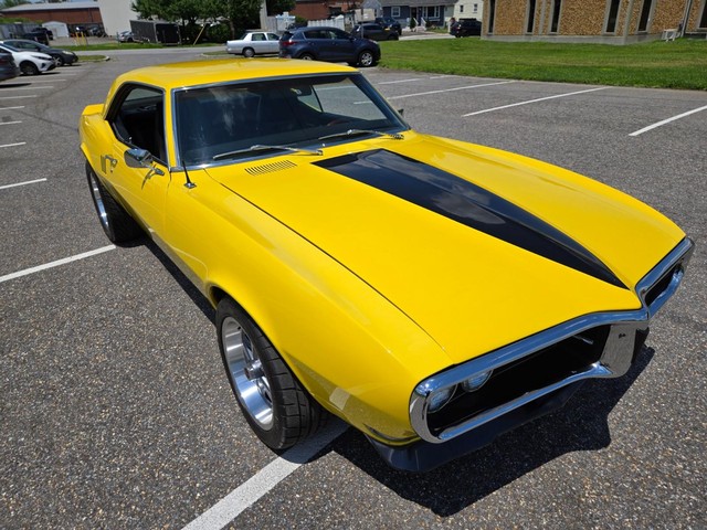 Pontiac Firebird Vehicle Image 11