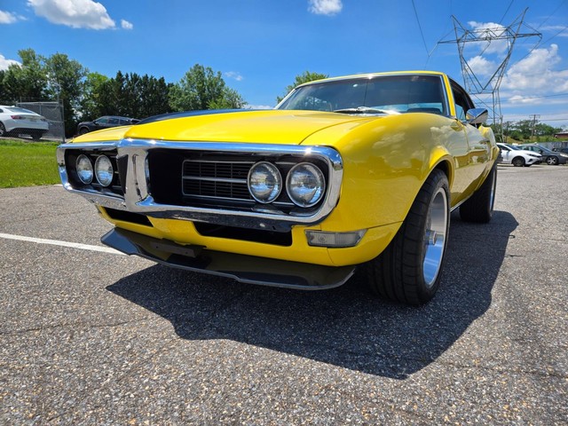 Pontiac Firebird Vehicle Image 16