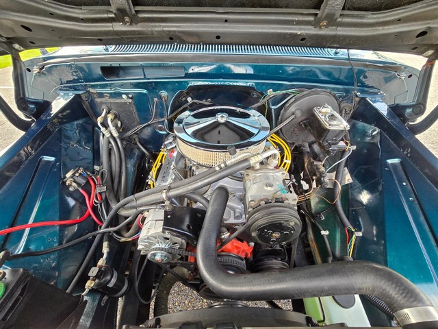 Chevrolet C 10 Vehicle Image 27