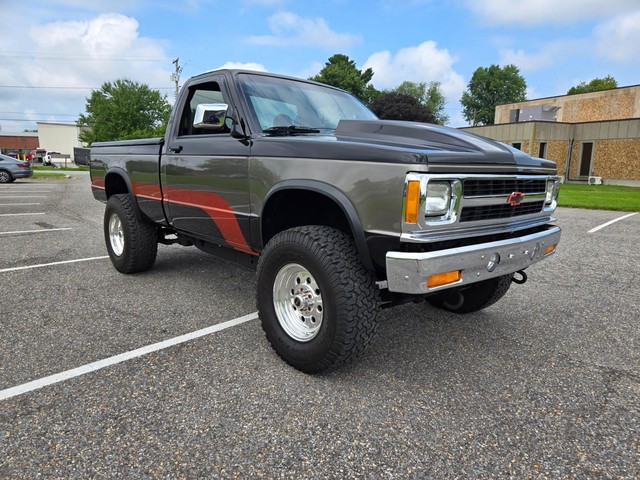 Chevrolet S10 Pickup Vehicle Image 04