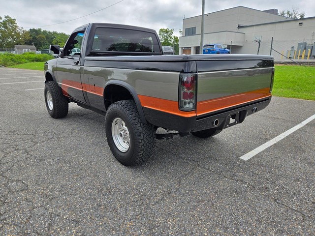 Chevrolet S10 Pickup Vehicle Image 06