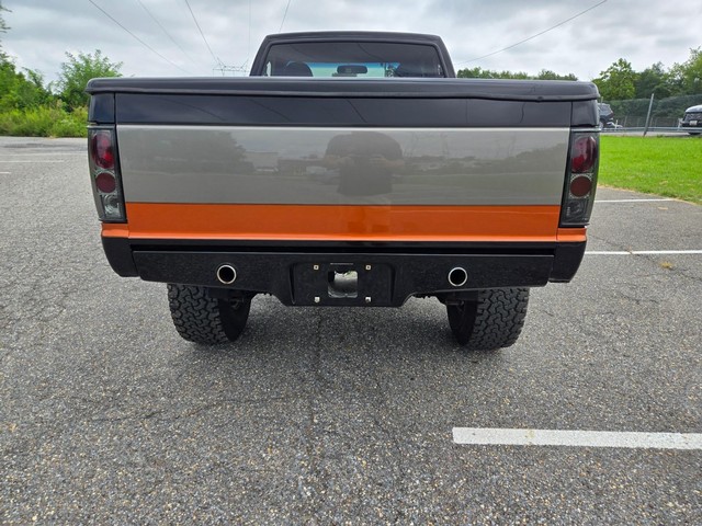 Chevrolet S10 Pickup Vehicle Image 09