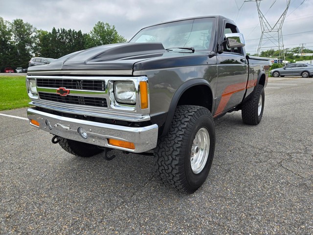 Chevrolet S10 Pickup Vehicle Image 11