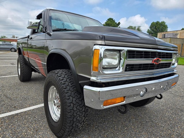 Chevrolet S10 Pickup Vehicle Image 12