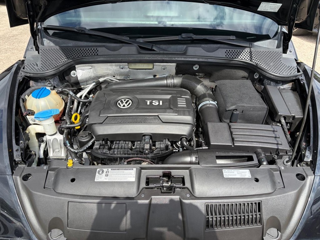 Volkswagen Beetle Convertible Vehicle Full-screen Gallery Image 27