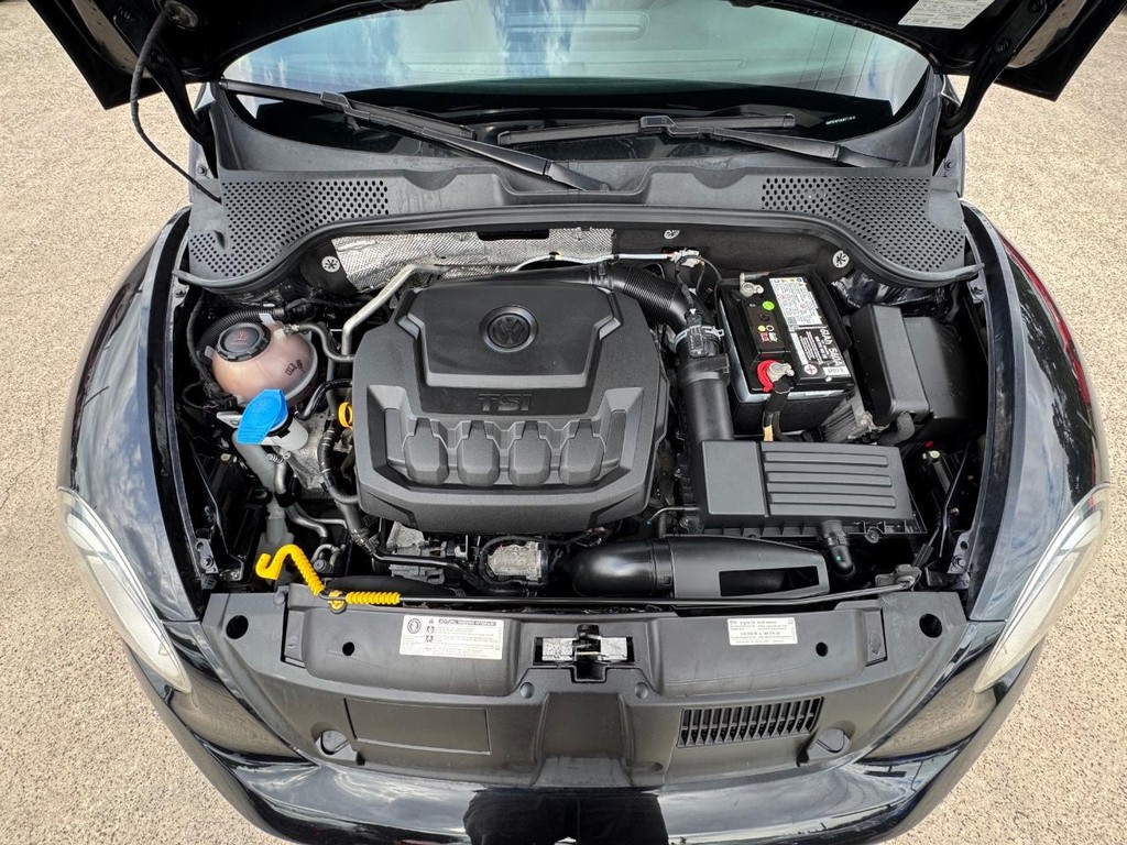 Volkswagen Beetle Vehicle Full-screen Gallery Image 24