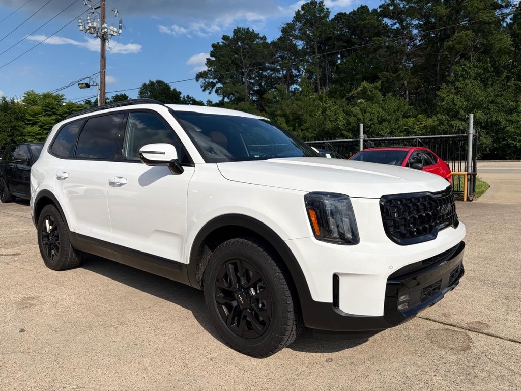 Kia Telluride Vehicle Full-screen Gallery Image 03