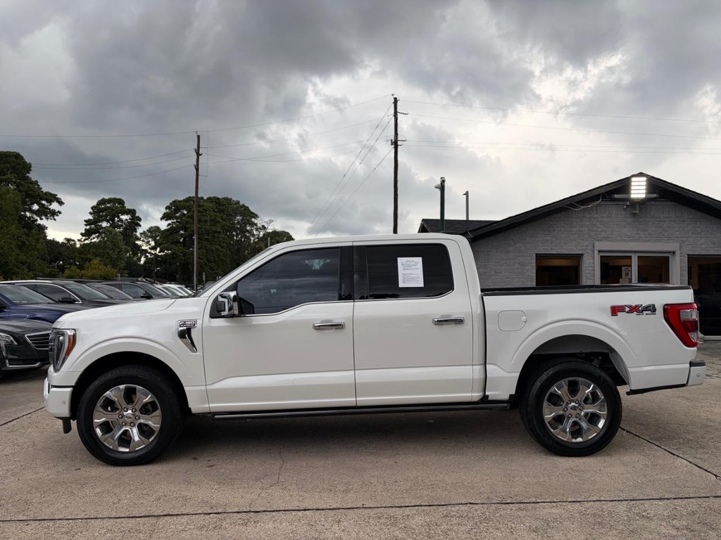 Ford F-150 Vehicle Full-screen Gallery Image 09