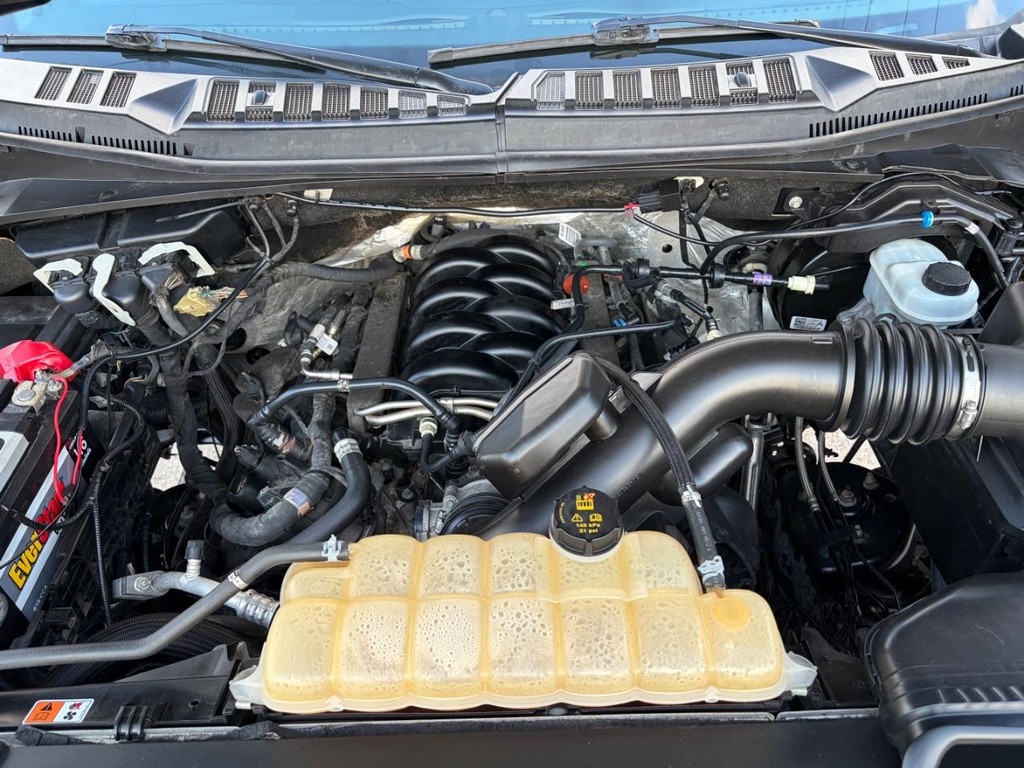 Ford F-150 Vehicle Full-screen Gallery Image 25